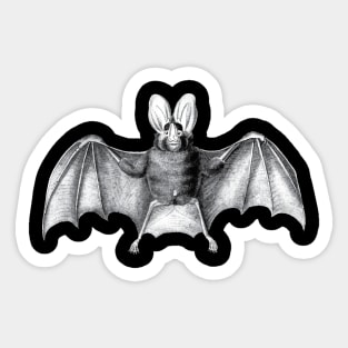 Bat Vintage Sticker